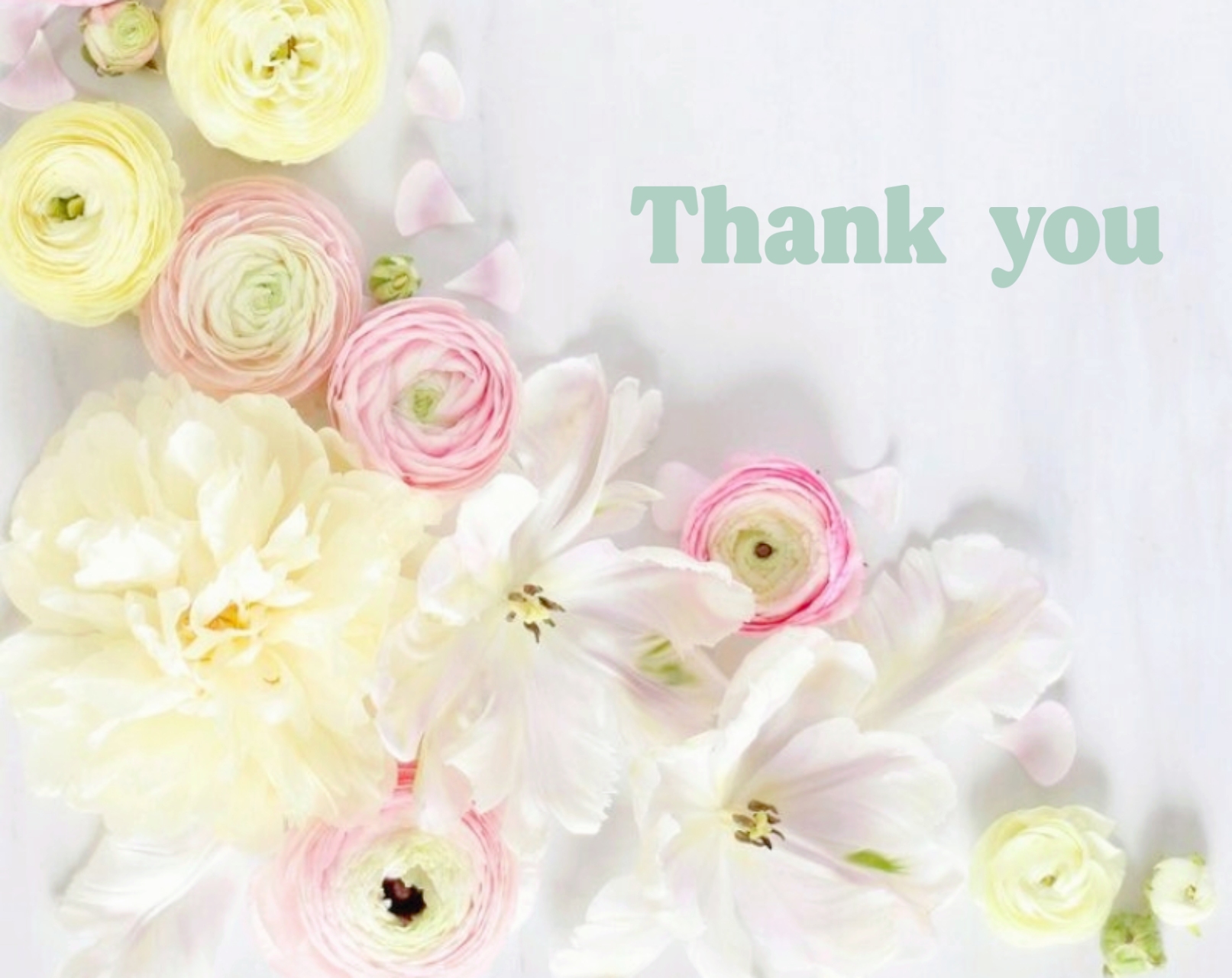 今日のお礼/ゆりか