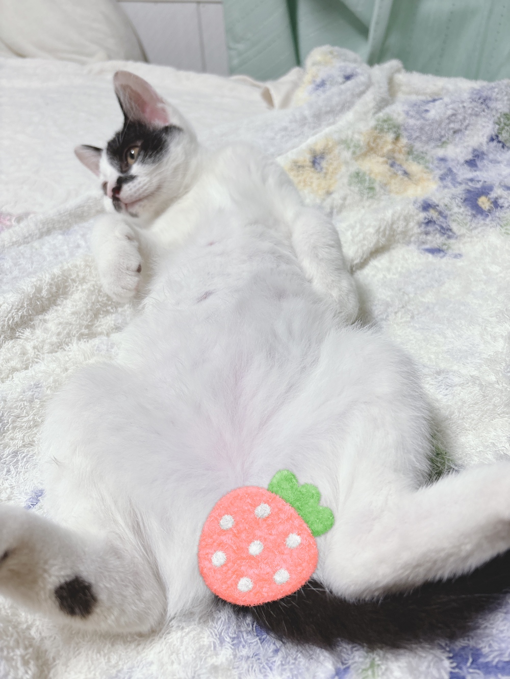 蒸し暑くてこんな姿に 🤣