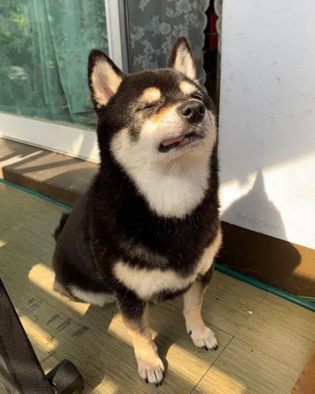 こんにちは～ ( * ・ω・) ノ/★あん奥様
