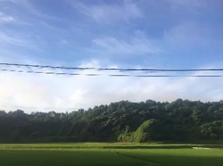 待ってます♡/藤田ますみ