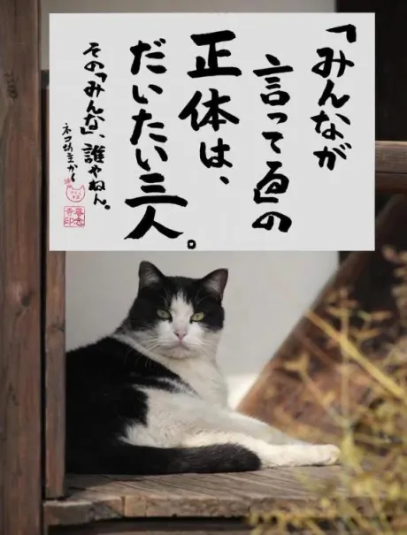 シオン人妻生レンタルーNTRー