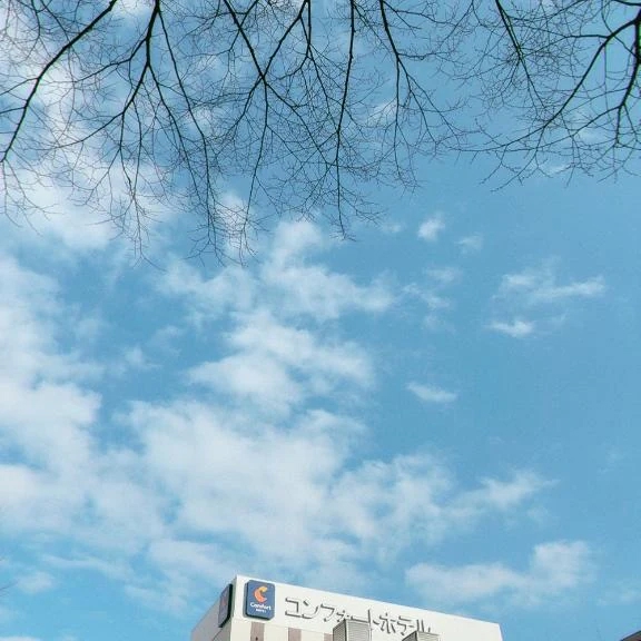 到着～🌸🩵🩵🩵