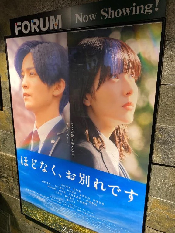 🎦/光葵-こうき-