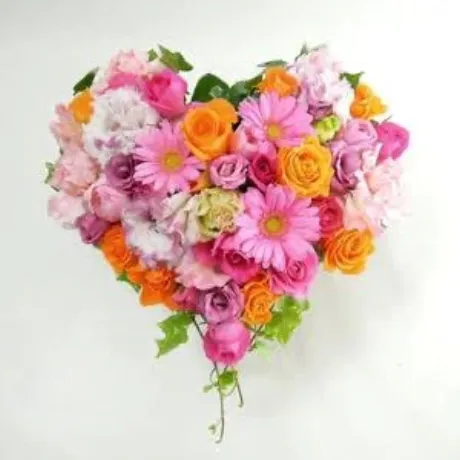 まなのブログ 「ご報告」