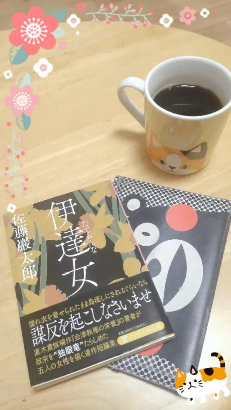花火🎇✨