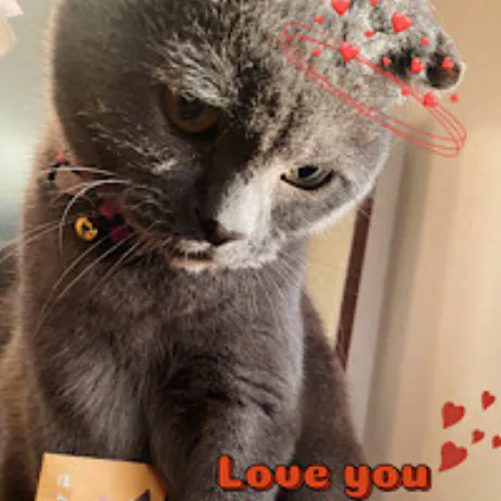 なみ 奥様仙台人妻セレブリティー