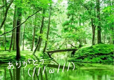 ご予約