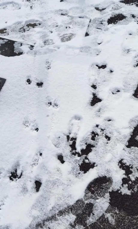 まさみ　奥様SUTEKIな奥様は好きですか？