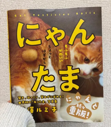 しの奥様メモリアル