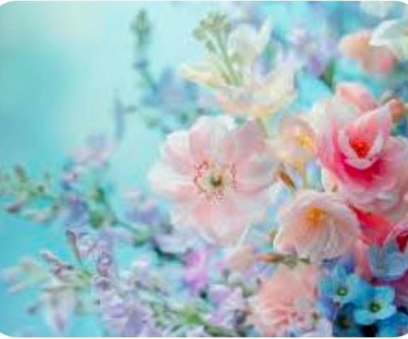 お礼です🌸　⚠️皆様全員にではないです⚠️