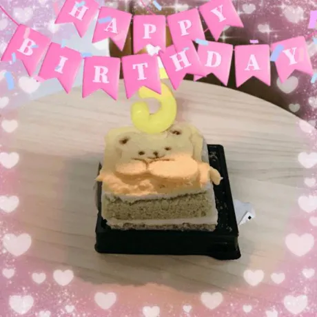 犬用ケーキ🎂/のぞみ★アナル調教師