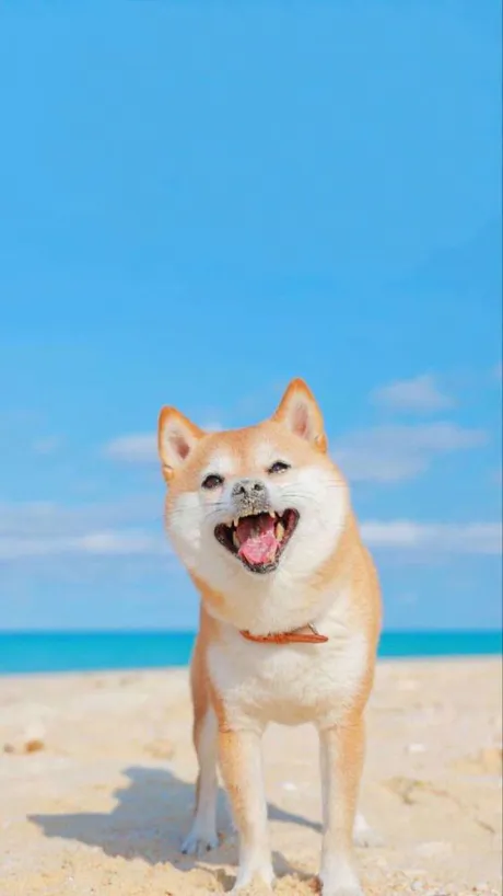 なおのブログ おはよう ( * ・ω・) ノ