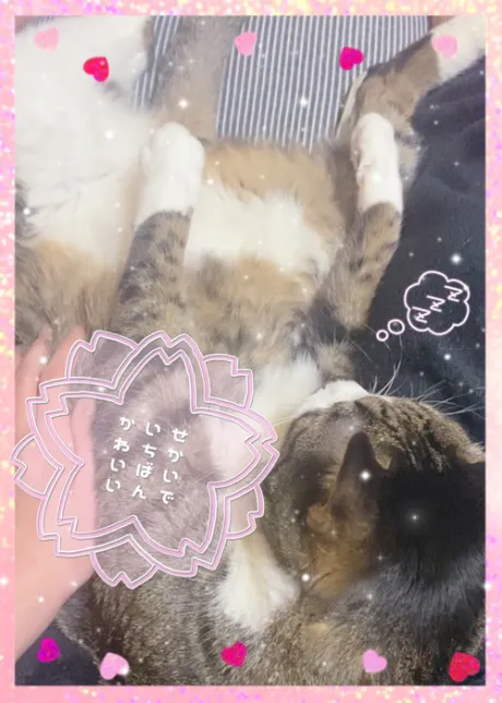 ちのデリヘル青森