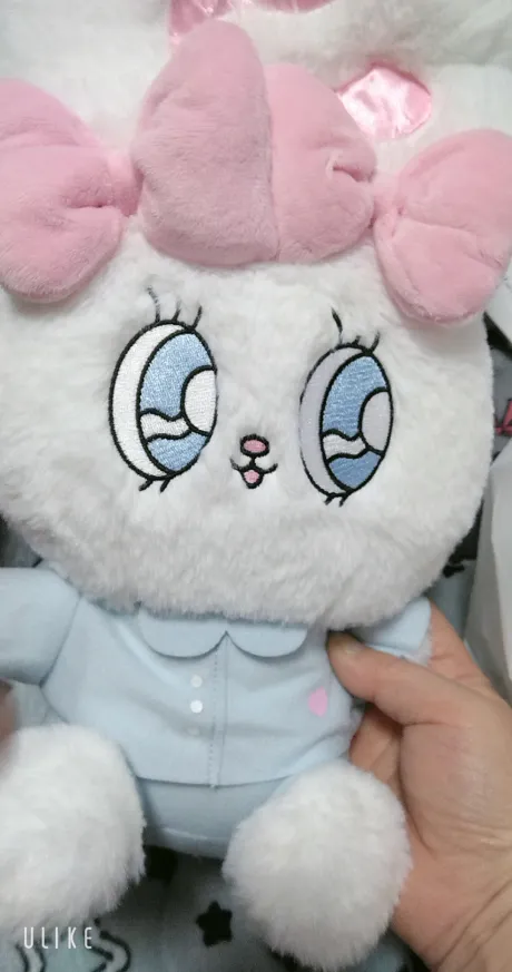 20時しゅつ/緊急入店マオリ(弘前)