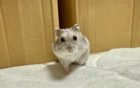 エムロイヤルクラブ
