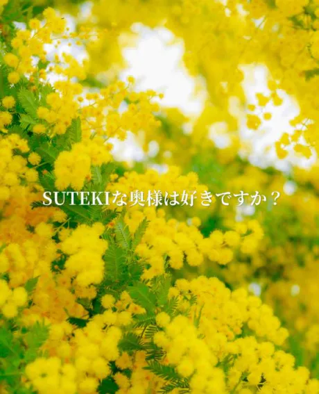 💛感謝…💛/ゆきの　奥様
