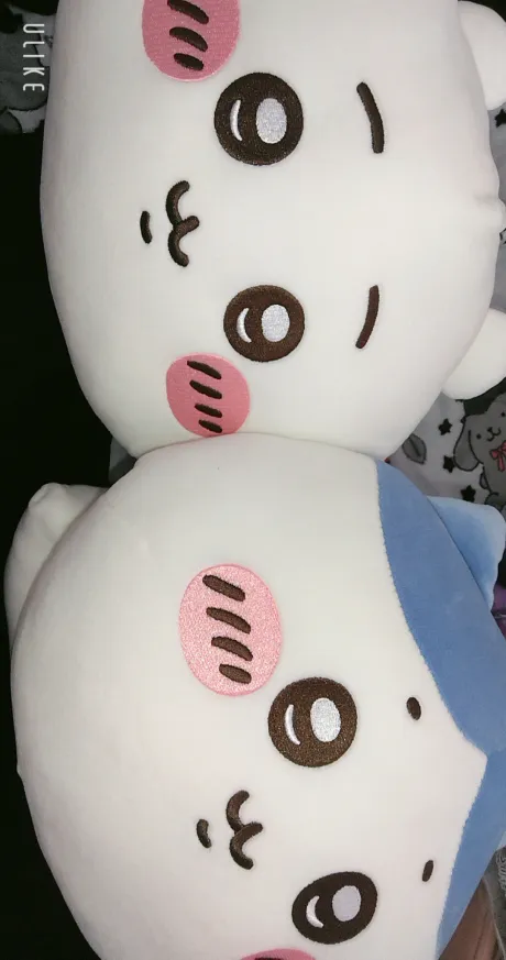 モフモフ/業界初まりん(弘前)