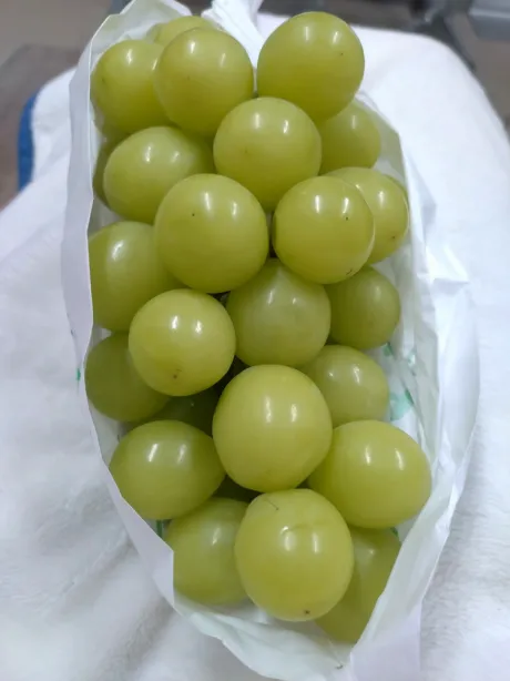 サリナのブログ こんばんは！ 