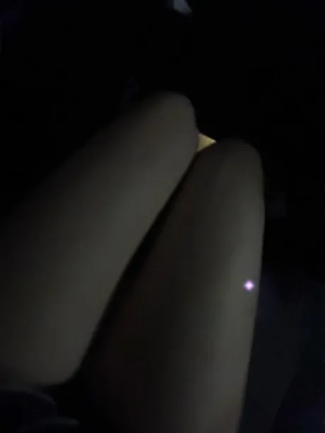 メメのブログ しゅ！