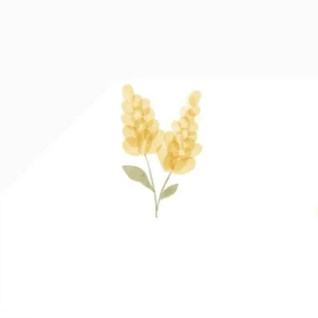 花音(かのん)グランドオペラ福岡