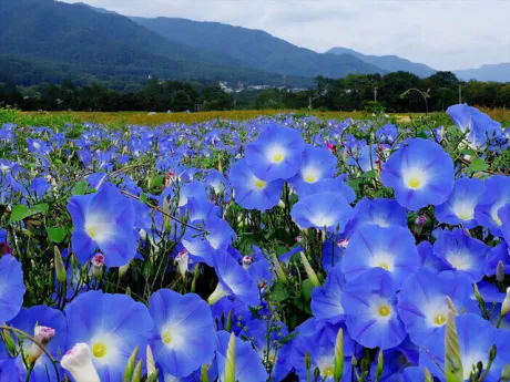 おはようございます✨