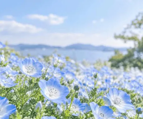 W様、向かってます🪽/鈴(すず)