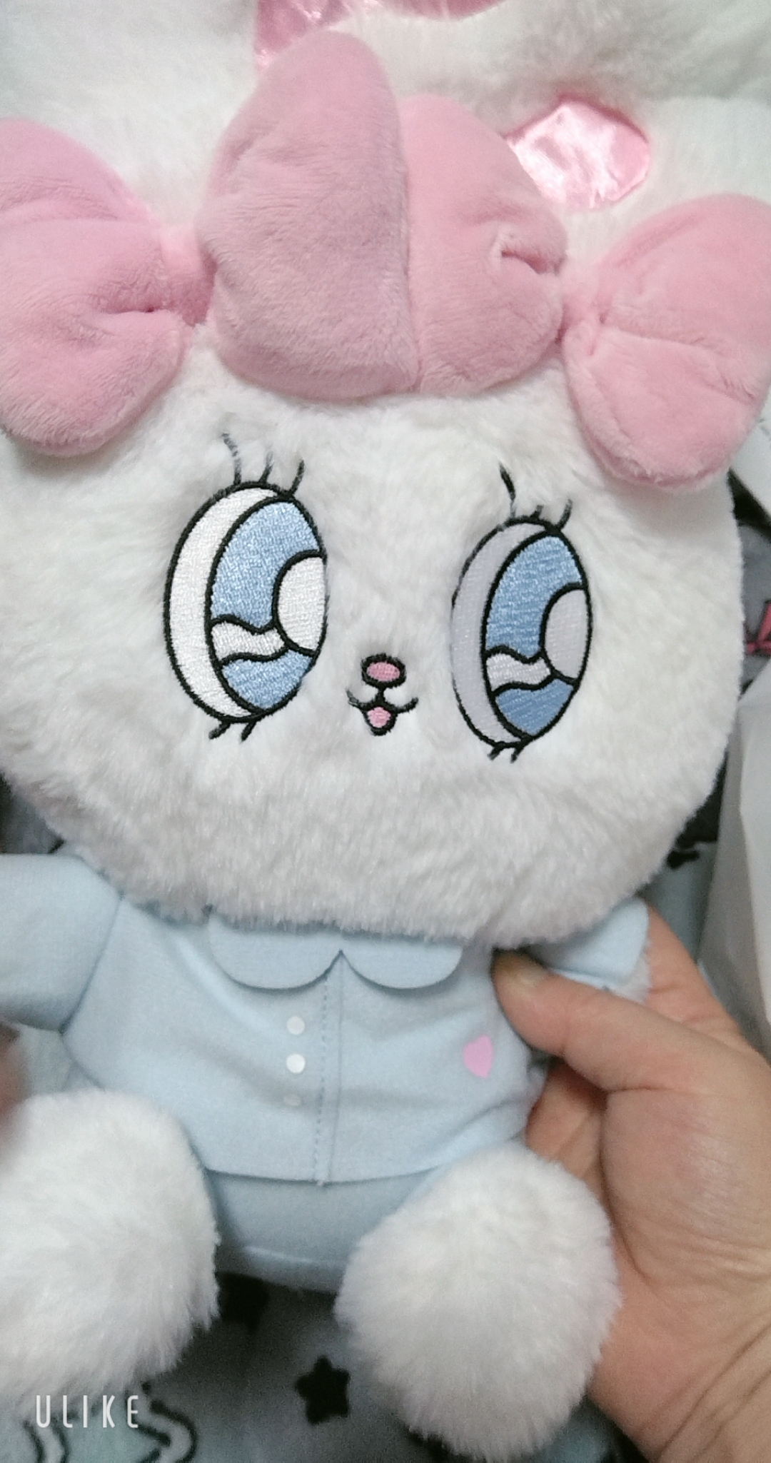 20時しゅつ/緊急入店マオリ(弘前)