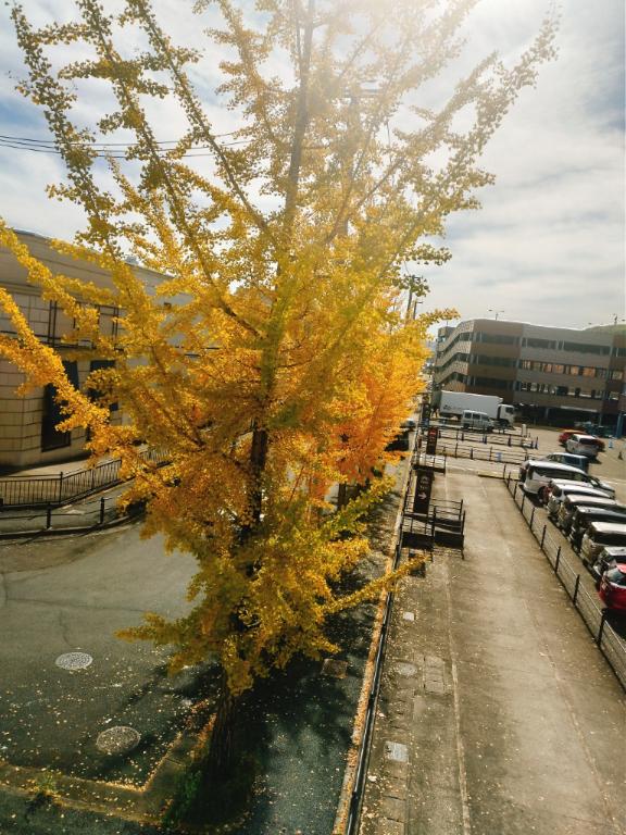 ひさびさアウトレット✨