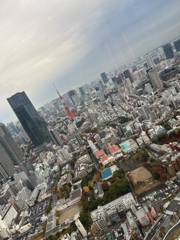 気分が変わるね🌱