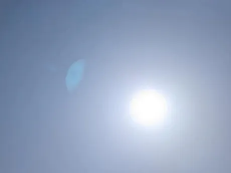 出勤しました/タエ