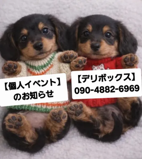 ★イベント情報🎉★/めい (魅惑のEカップ、パイパン嬢)