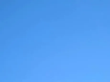 出勤しました/タエ