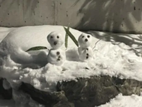 ツムギ【青森】身体弄んでみる？DINO～ディーノ～