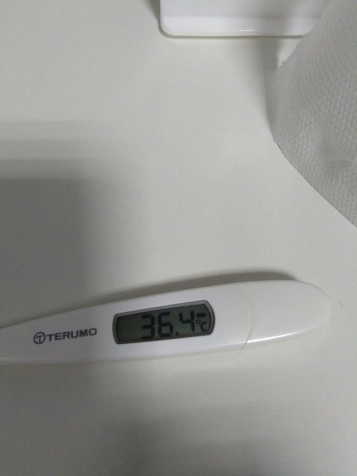 おはようございます☀️
