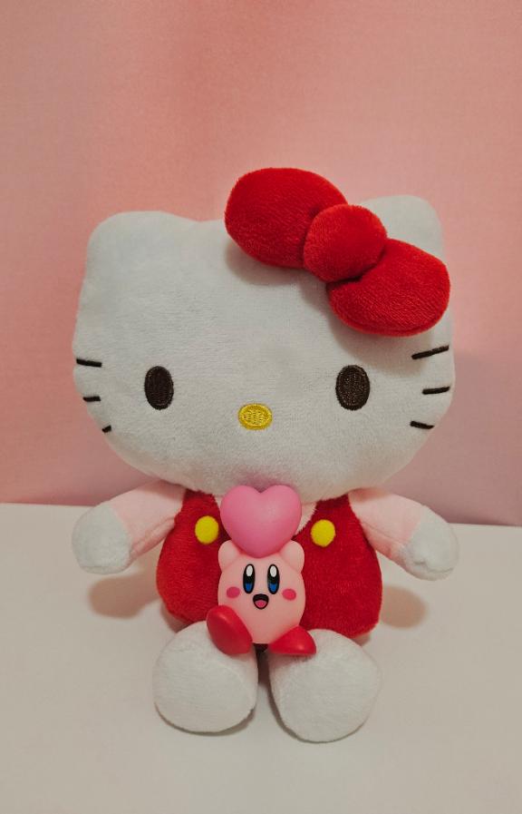 りあんちゃん🩷