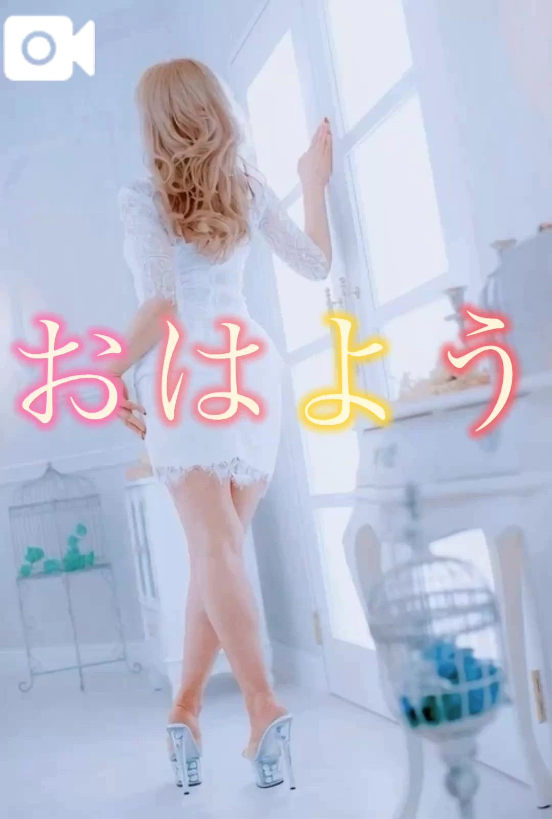 おはよう🤗/ひまわり