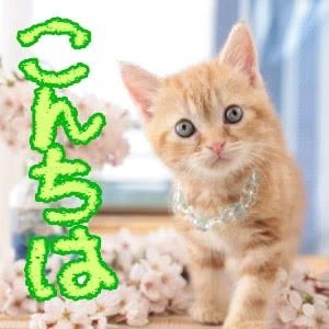 こんにちは！