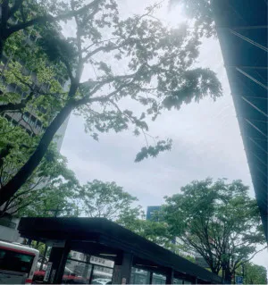 ゆきな 奥様のブログ ２日目