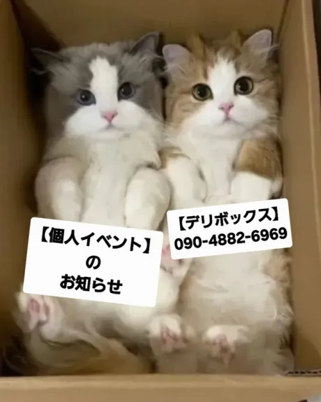 めい (魅惑のEカップ、パイパン嬢)デリボックス