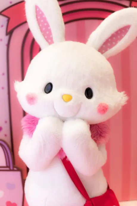 発表🐰/せいら