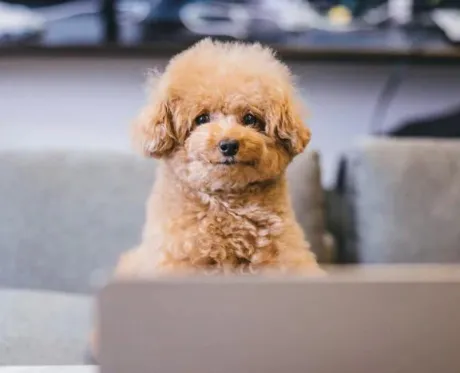 かすみ宮城仙南ちゃんこ