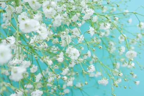 おはようございます/ゆりか