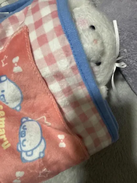 体験入店 ほむら3年H組