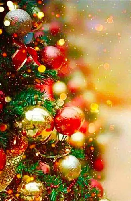 メリークリスマス🎄/つき