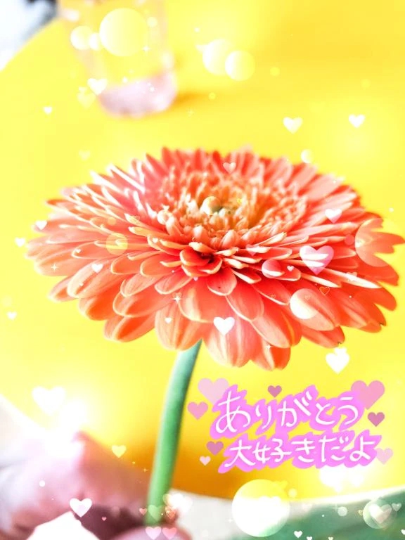 お礼となります