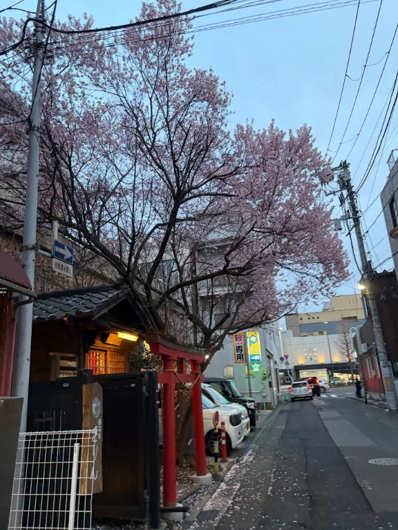 みか☆変態さん大好きM女♡隣の人妻お口で愛して