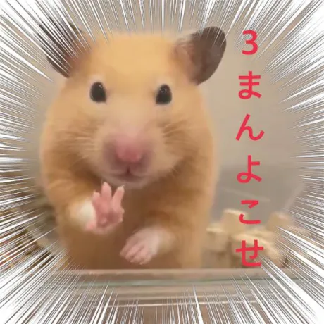 ぴ/みずほ　奥様