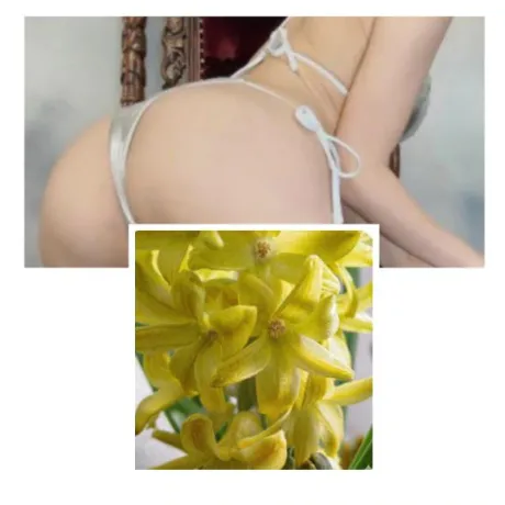 シズカ人妻生レンタルーNTRー