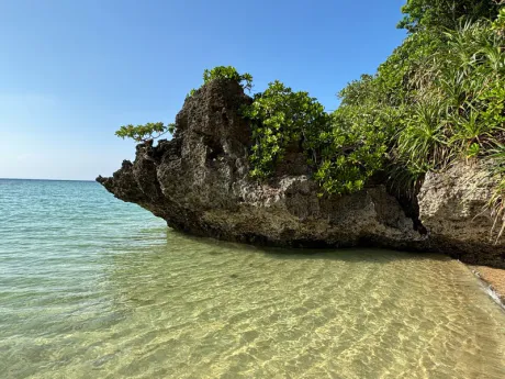 土日、出勤いたします。。。/ことみ
