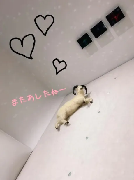 かえで愛 LAND-アイランド-